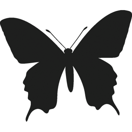 Бабочка 4