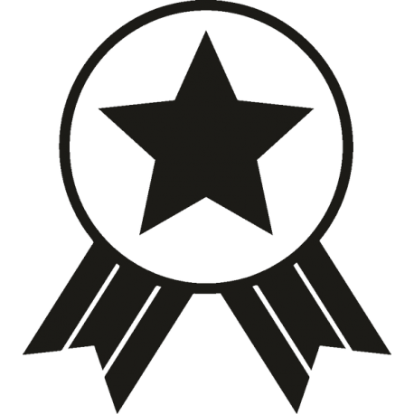 Медаль со звездой 2