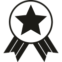 Медаль со звездой 2