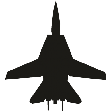 Грумман F-14 Томкэт