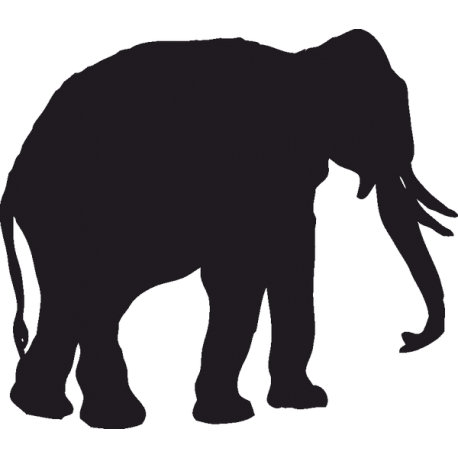 Слон 1