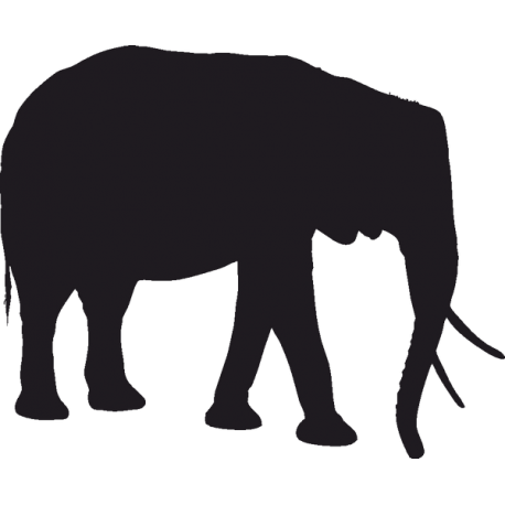 Слон 3