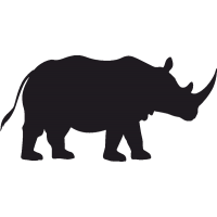 Носорог 1