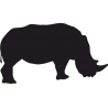 Индийский Носорог