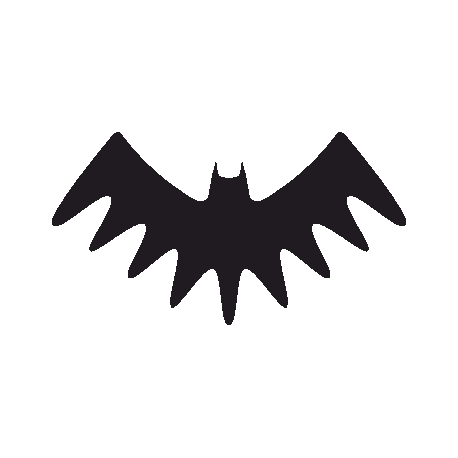 Символ Бэтмена 13