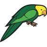 Зеленый Попугай
