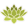 Зелёный цветок лотоса
