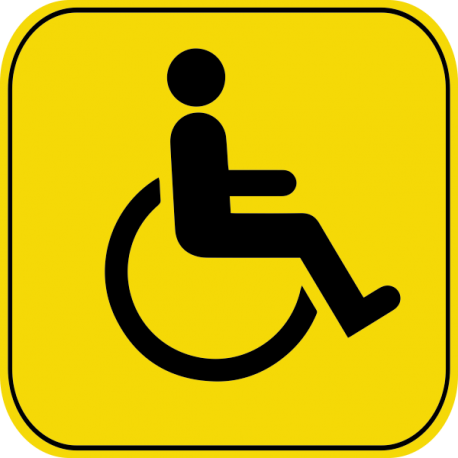 Знак инвалид за рулём 4