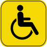 Знак инвалид за рулём 5