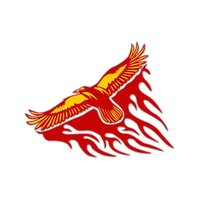 Беркут с флагом Кыргызстана. Сокол символ. Орел логотип. Стилизованный Сокол. Орел изображение символ