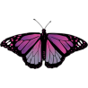 Бабочка черно-сиреневого цвета