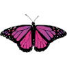 Бабочка черно-сиренево-малинового цвета