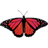 Бабочка чёрно-красно-малинового цвета