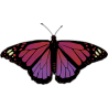 Бабочка черно-сиренево-мвлинового цвета
