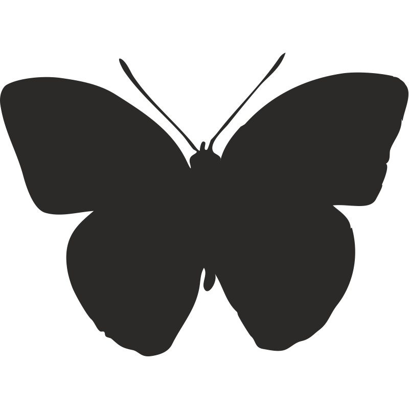 Бабочка черный глянец. Трафарет бабочки на стену. Трафареты бабочек для декора стены. Бабочка черно белая. Шаблон бабочки на стену.