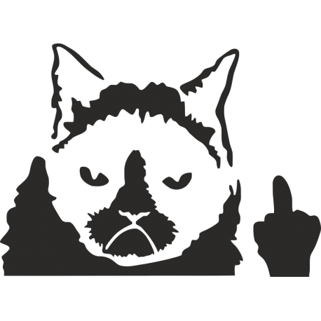 Унылый кот показывает Fuck(средний палец)