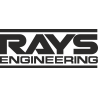 Rays engineering