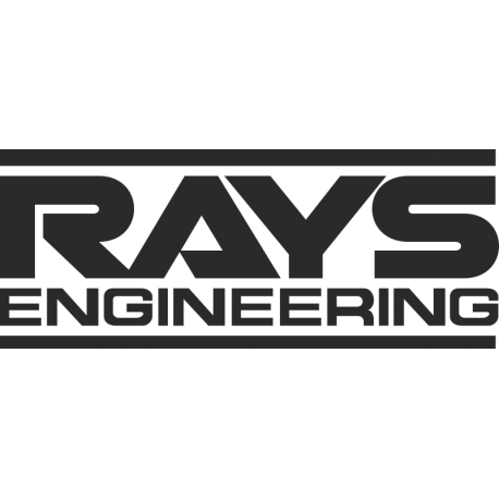 Rays engineering