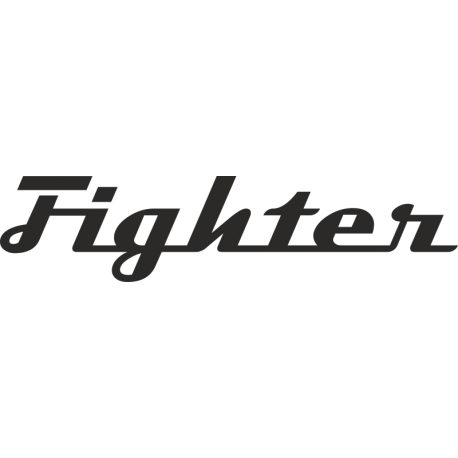 Fighter