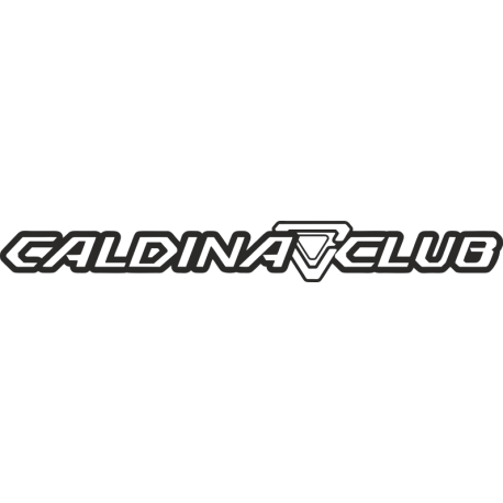 Toyota Caldina Club
