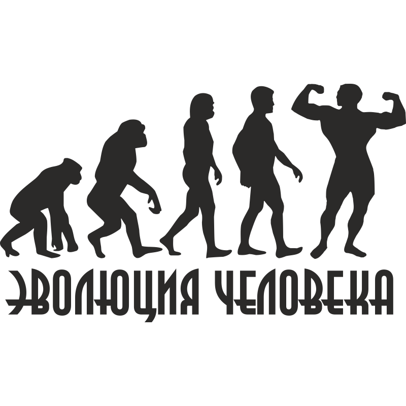 Наклейка люди. Эволюция человека. От обезьяны к человеку. Эволюция спортсмена. Эволюция от обезьяны к спортсмену.