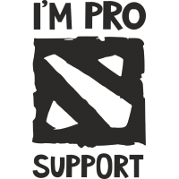 I am pro Dota support