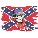 Флаг конфедератов с черепом по центре