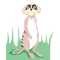 Сурикат