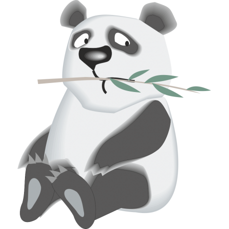 Панда жует ветку