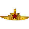Медальон со звездой