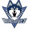 Логотип Quebec Nordiques - Квебек Нордикс