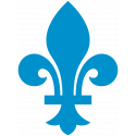 Логотип Quebec Nordiques - Квебек Нордикс