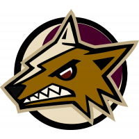 Логотип Arizona Coyotes - Аризона Койотис