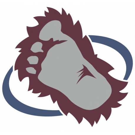 Логотип Colorado Avalanche - Колорадо Эвеланш