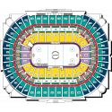 Стадион с логотипом Anaheim Ducks - Анагайм Дакс / Mighty Ducks of Anaheim	- Майти Дакс оф Анагайм