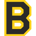 Логотип Boston Bruins - Бостон Брюинз