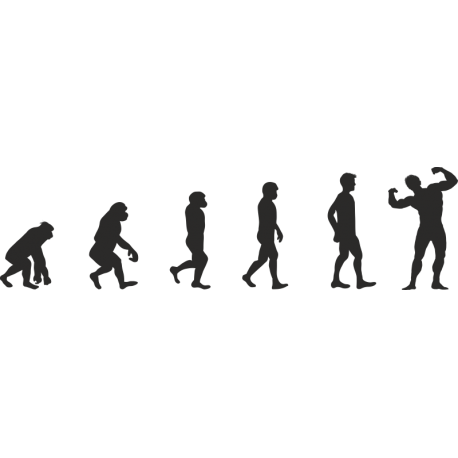Эволюция от обезьяны до Культуриста