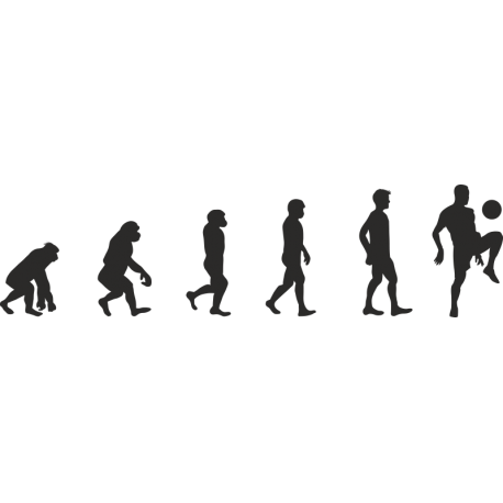 Эволюция от обезьяны до Футболиста 3