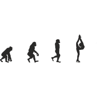 Эволюция от обезьяны до Фигуристки