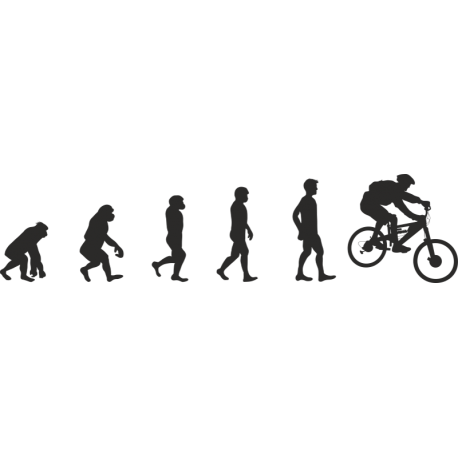Эволюция от обезьяны до Велосипедиста 4