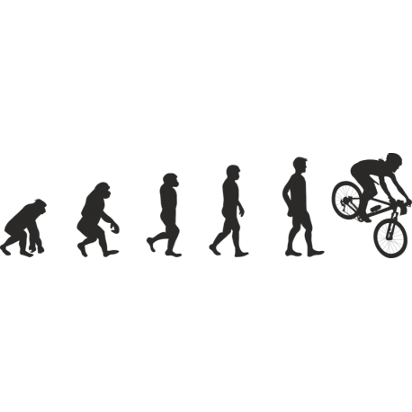 Эволюция от обезьяны до Велосипедиста 5