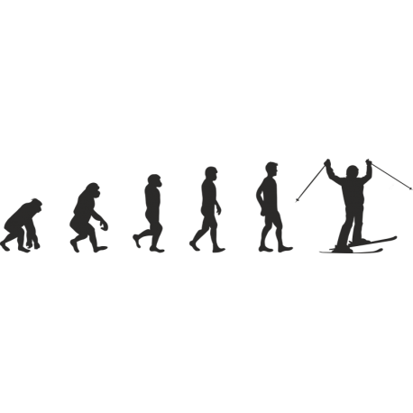 Эволюция от обезьяны до Лыжника 1