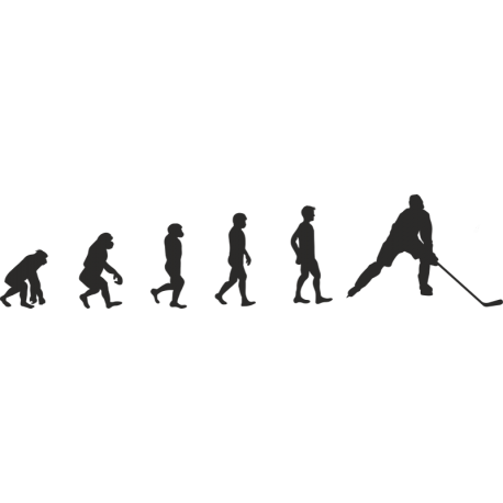 Эволюция от обезьяны до Хоккеиста 2