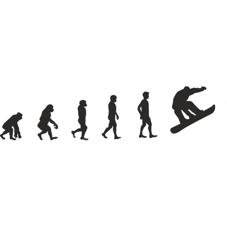 Эволюция от обезьяны до Серфбордиста