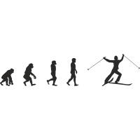 Эволюция от обезьяны до Лыжника 2