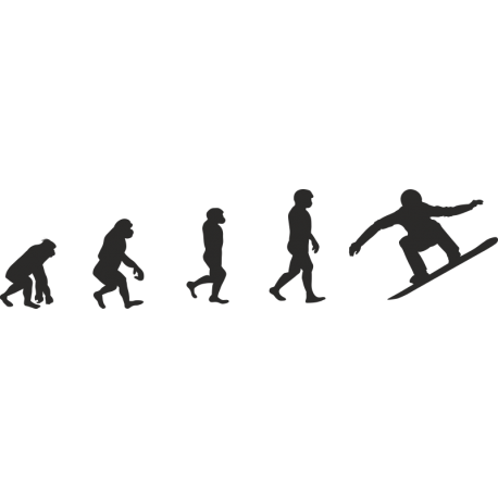 Эволюция от обезьяны до Серфбордиста 2