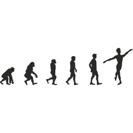 Эволюция от обезьяны до Танцора балета 3