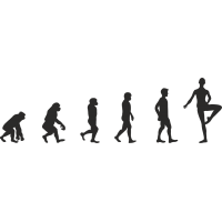 Эволюция от обезьяны до Балерины 1