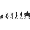 Эволюция от обезьяны до Сумоиста