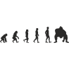 Эволюция от обезьяны до Сумоиста 2